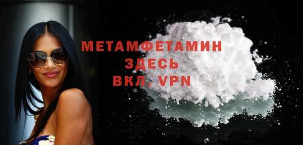 индика Верея