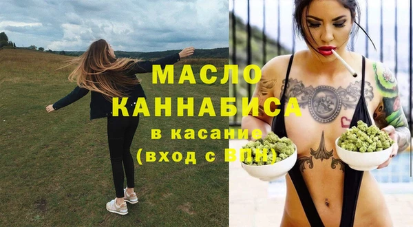 индика Верея