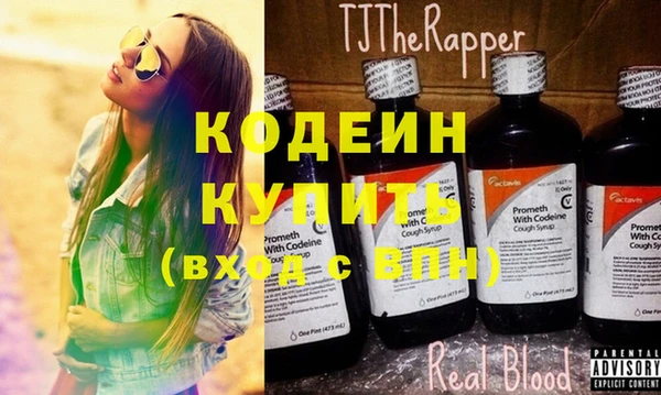 индика Верея