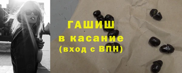 индика Верея