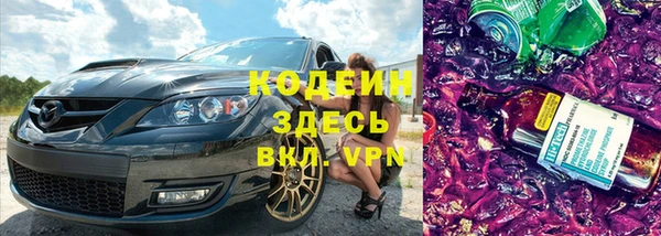 индика Верея