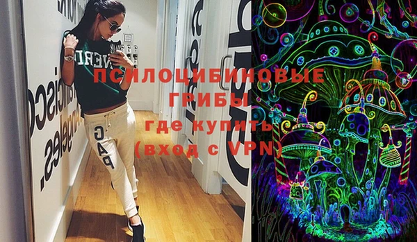 индика Верея