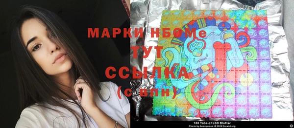 индика Верея