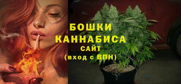 индика Верея
