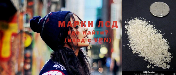 индика Верея