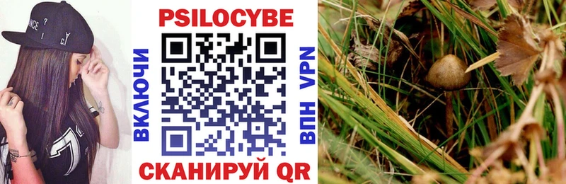 Псилоцибиновые грибы GOLDEN TEACHER  наркота  Раменское 